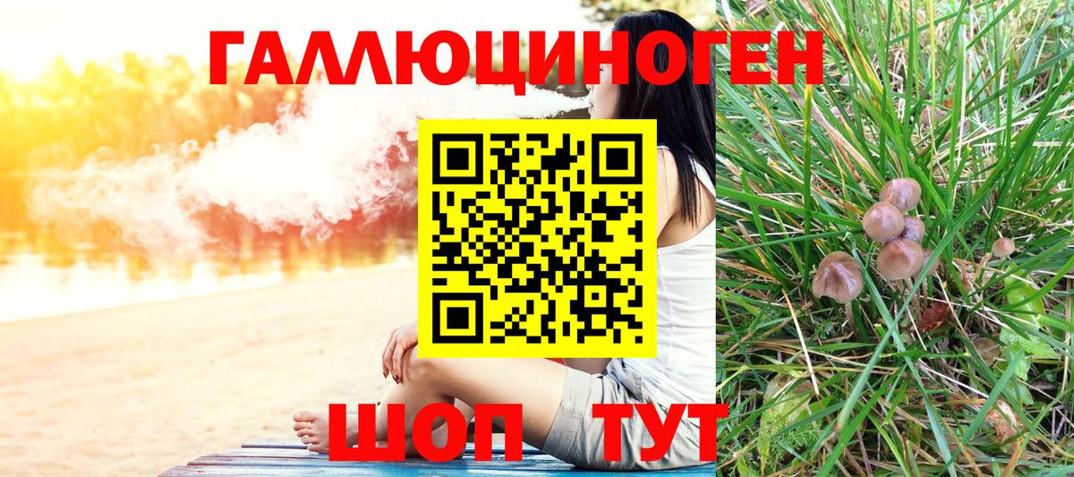 Псилоцибиновые грибы Psilocybine cubensis Дмитров